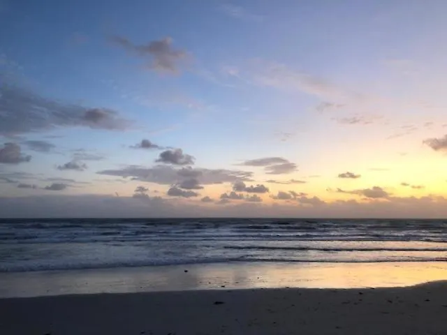 Cove Motel Oceanfront Daytona Beach